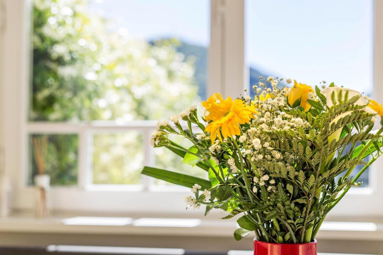 Garden Vista Lago Комо Екстер'єр фото